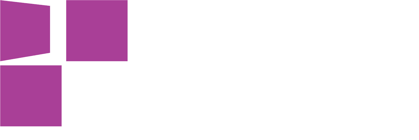 Ecliptic 17 logo by USA